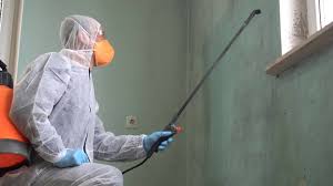 Best Commercial Mold Inspection  in North Tustin, CA