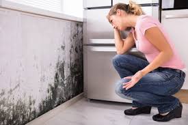 Best Biohazard Mold Removal  in North Tustin, CA